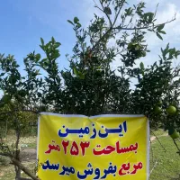 فوری ۲۵۲/۵۳متر زمین مسکونی زغال چال- همت اباد ساری|فروش زمین و ملک کلنگی|ساری, |دیوار