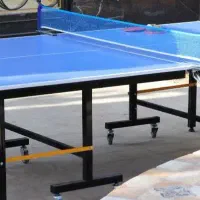 میز پینگ پنگ  (کد 22pو33p)  (4چرخ و 8 چرخ)