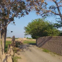 2400 متر زمین در جاده کلات  مفت