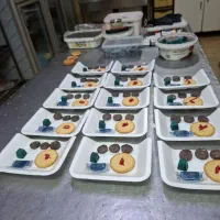 سمپاشی سوسک ساس سم پاشی مورچه طعمه گذاری موش|خدمات نظافت|ری, شهادت|دیوار