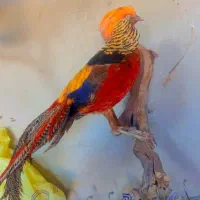 مجسمه پرنده