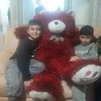 خرس پشمالو یک متری نو