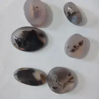 نگین شجر قائنات