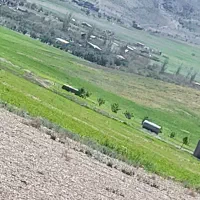 باغ چهار دیواری،بنا سفد کاری شده،گردو،بادم زارمثمر