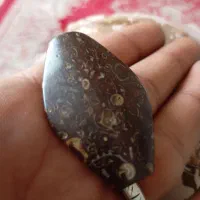 کهنه و قدیمی|کلکسیون اشیاء عتیقه|زابل, |دیوار