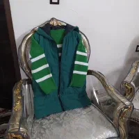 پافر جنس میکرو و بافت پینترسی سالم و نونو