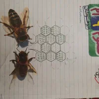 کتاب  31استان  150سوال تیزهوشان علوم نهم خیلی سبز
