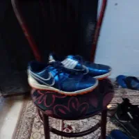 کتانی و دمبایی|کیف، کفش، کمربند|رشت, سلیمانداراب|دیوار