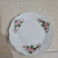 تعداد ۱۲ پیش دستی میوه خوری گل سرخی