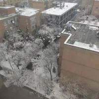 کار در قهوه خانه