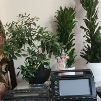 ظبط صوتی تصویری|قطعات یدکی و لوازم جانبی|تهران, فرحزاد|دیوار