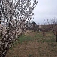 باغشهر نگین  سلطانیه  موقعیت عالی