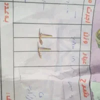 گوشواره طلا درحدنو|جواهرات|قوچان, |دیوار