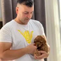 تاینی پودل ۸ ماهه