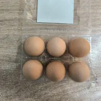 تخم مرغ محلی بسته 6 عددی 110 هزار تومان