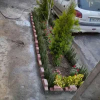 خدمات کلیه باغبانی باغچه کاری گلکاری کاشت گل وگیا|خدمات باغبانی و درختکاری|شهریار, شهرک شاهد|دیوار
