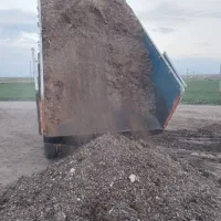 کودمرغی قفسی وسالنی