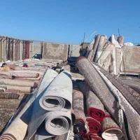 قالیشویی و مبل شویی ایران گستر|خدمات نظافت|هیر, |دیوار