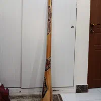 دیجیریدو اکالیپتوس