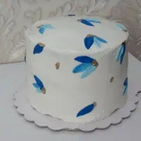 کیک تولد|خدمات پذیرایی، مراسم|زاهدان, |دیوار