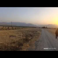 زمین چغادون|فروش دفتر صنعتی، کشاورزی، تجاری|دورود, |دیوار