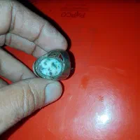 انگشترشجر|بدلیجات|آبادان, |دیوار