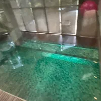 (تک ستاره زعفرانیه نادی) ۲۱۰مترویوابدی دره سلامت|فروش آپارتمان|تهران, زعفرانیه|دیوار