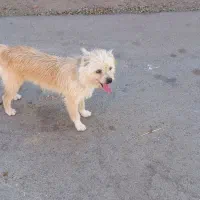 ۱ ملیون پونصد