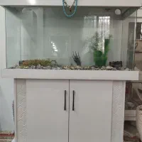 آکواریوم شیشه خم ابعاد۸۰ارتفاع۹۰عمق۳۰