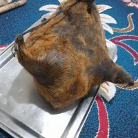 هیزه|ظروف نگهدارنده، پلاستیکی، یک‌بارمصرف|دورود, |دیوار