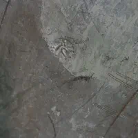 مجمعه مسی قدیمی|کلکسیون اشیاء عتیقه|قم, سرحوض|دیوار