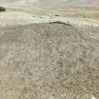 کود حیوانی (پهن)|خدمات باغبانی و درختکاری|جلفا, |دیوار
