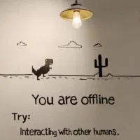 استخدام سالنکار.