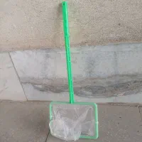 وسایل آکواریوم|ماهی|قزوین, |دیوار