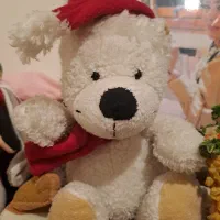 انواع عروسک تدی برای ولنتاین