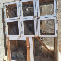 قفس جفت کن کبوتر|لوازم جانبی حیوانات|اصفهان, ارغوانیه|دیوار