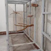 قفس پرنده|لوازم جانبی حیوانات|چهاردانگه (تهران), |دیوار