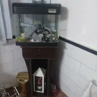 اکواریوم شرکتی