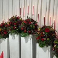 گل آرایی طبیعی