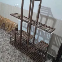 استند|گل و گیاه طبیعی|یزد, |دیوار