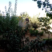 زمین مسکونی یا ویلایی داخل روستای گلشن آباد|فروش زمین و ملک کلنگی|اراک, |دیوار