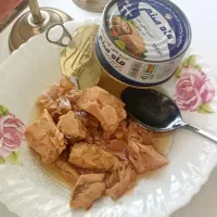 تن ماهی سفید