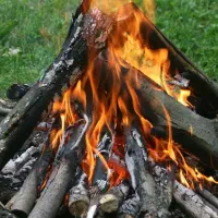 چوب وهیزم مخصوص کباب و اتش ،شومینه|خدمات پیشه و مهارت|زرقان, |دیوار