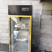 فریزر ایستاده سالم