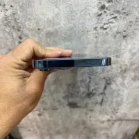 آیفون ۱۳ پرومکس 256 ch|موبایل|مشهد, احمدآباد|دیوار