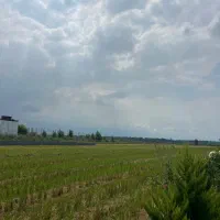 اجاره شبانه ویلا دربست شهرکی|اجارهٔ کوتاهمدت ویلا و باغ|ایزدشهر, |دیوار