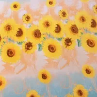 پتو ژله ای دو نفره چهار فصل (۲ عدد با هم)