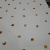 روسری|لباس|جوانرود, |دیوار