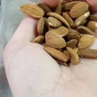 مغز کردن گردو بادام هسته فندق|حراج|ابهر, |دیوار