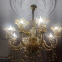 لوستر هلندی فروش فوری به علت مهاجرت